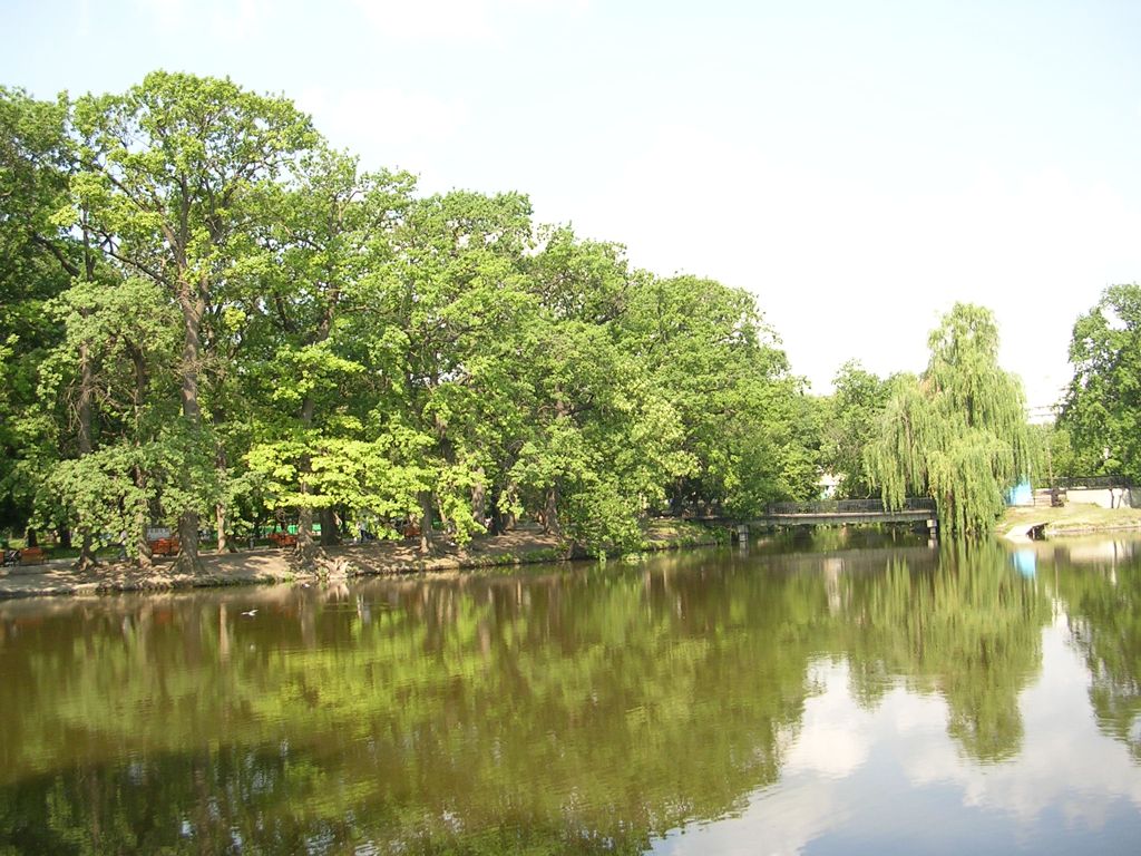 City park